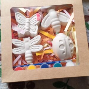 Butterfly art set
