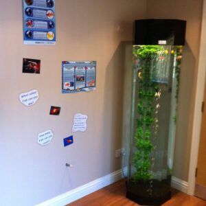 sensory bubble tube