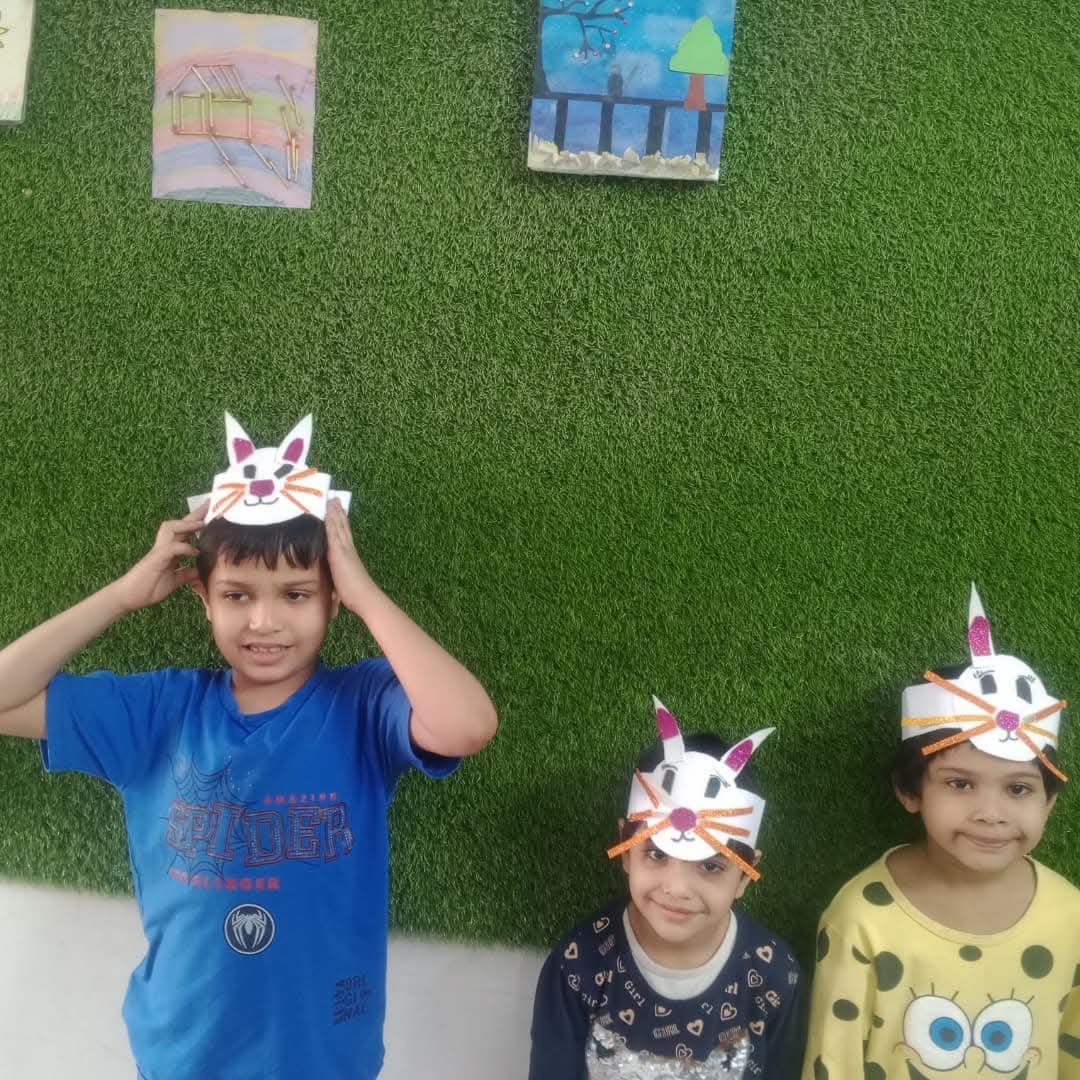 Mr Shah Mir