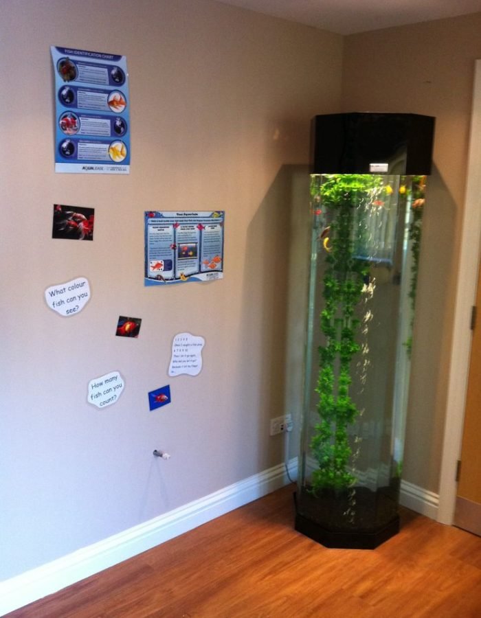 Sensory Equipment